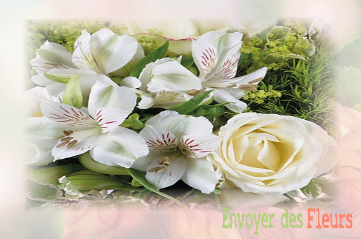 envoyer des fleurs à à RONCHEROLLES-SUR-LE-VIVIER